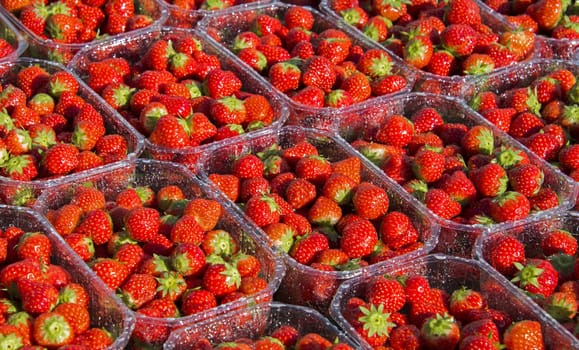 group of red strawberrie on the market
