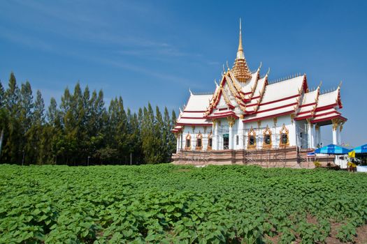 Thai temple under painting, thai temple open to public anyone can take a photo