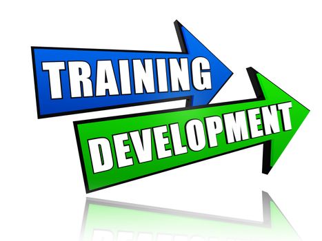 text training development in 3d colored arrows, business concept