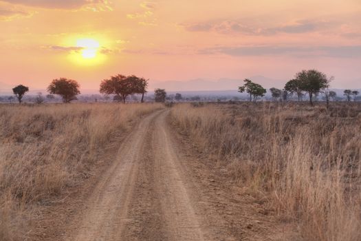 Sunset over the dry African Savannah, Mikumi, Tanzania