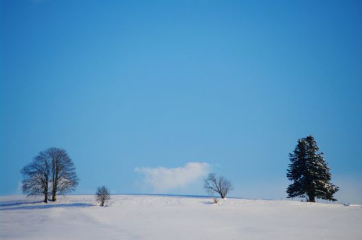 beautiful snowy winter landscape at Christmas time...