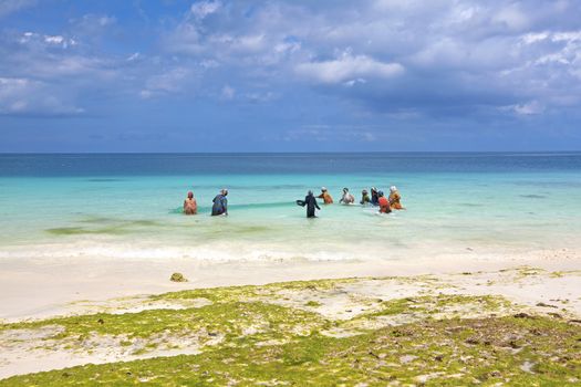 Women fishing in crystal clear waters at Zanzibar
