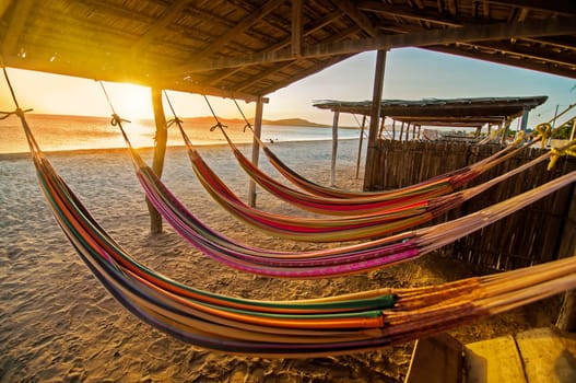 Hammocks on a beach at sunset.