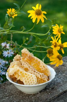 Natural honey in the comb