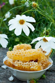 Natural honey in the comb