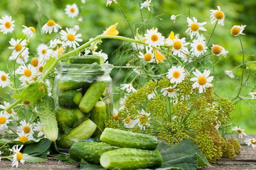 Canning cucumbers at home