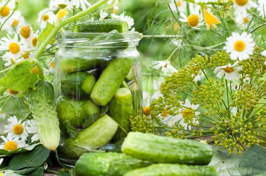 Canning cucumbers at home