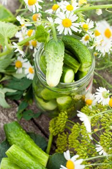 Canning cucumbers at home