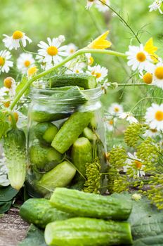 Canning cucumbers at home