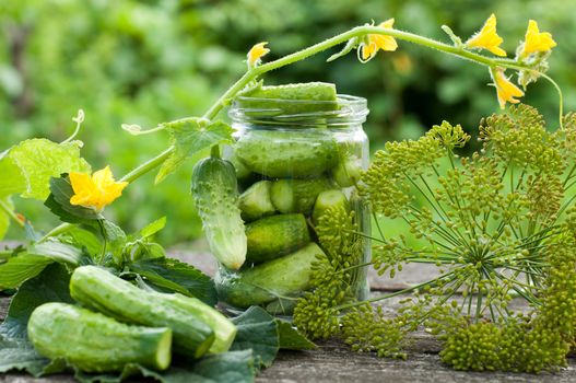 Canning cucumbers at home