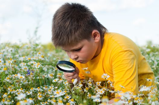 Boy sees flowers through magnifying glass