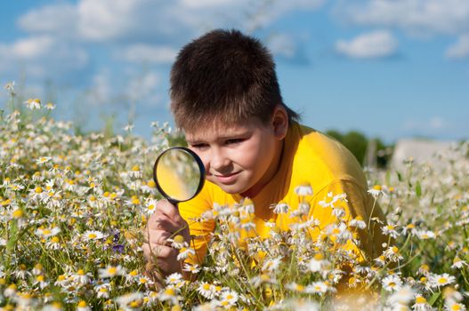 Boy sees flowers through magnifying glass