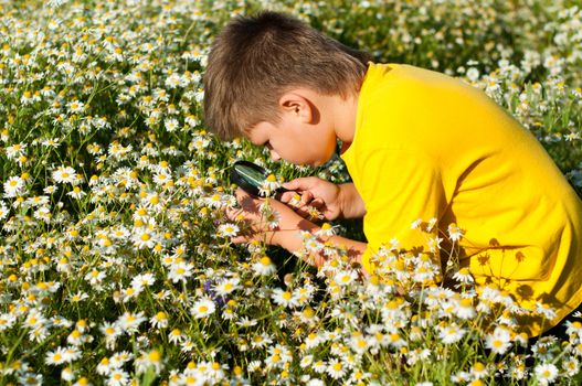 Boy sees flowers through magnifying glass