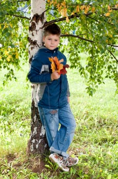 Boy near a tree in the park