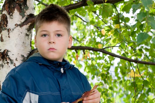 Boy near a tree in the park