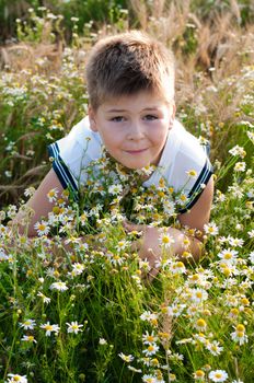 Boy on meadow with daisies