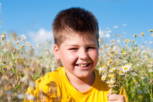 Boy on meadow with daisies