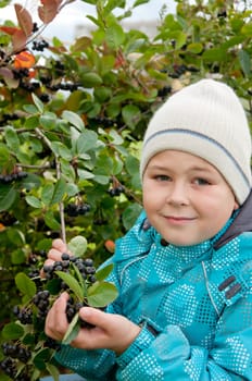 A boy with a sprig of Aronia