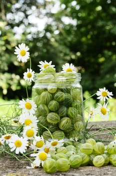 Cooking homemade gooseberry jam