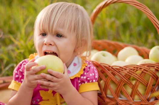 Little girl with a basket of fresh apples