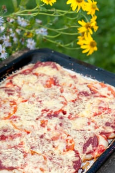 Home-made pizza on a baking