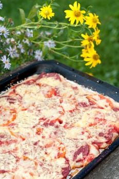 Home-made pizza on a baking