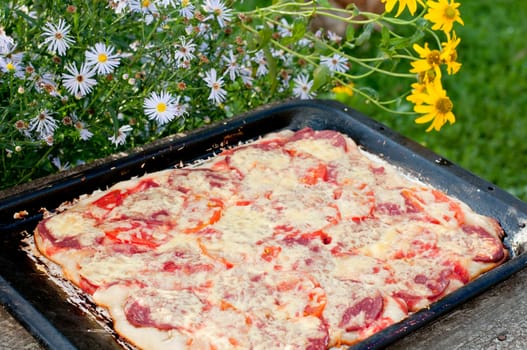 Home-made pizza on a baking