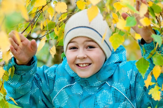 A boy in a birch forest in autumn