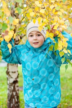 A boy in a birch forest in autumn