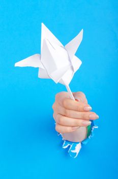 Paper flower in the hand