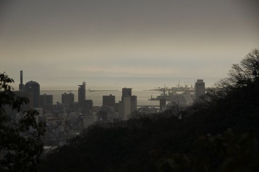 View of Kobe from a surrounding mountain with trees and houses on a dark evening