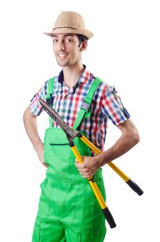 Man gardener with shears on white