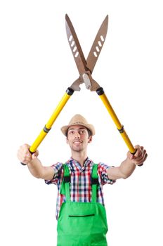 Man gardener with shears on white