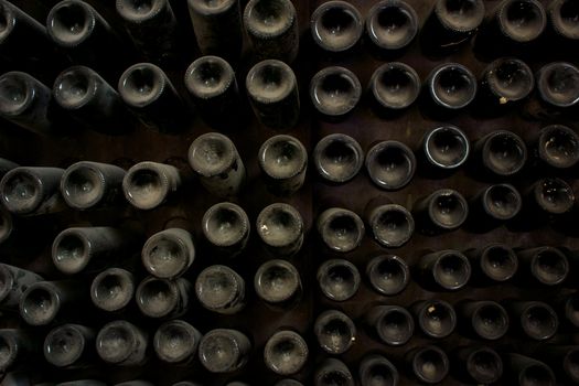 Punts of dusty wine bottles in cellar