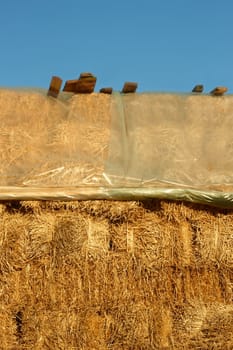 Big pile of straw covered with polyethylene film from above