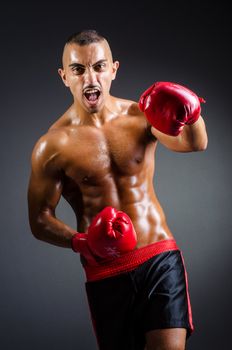 Muscular boxer in studio shooting