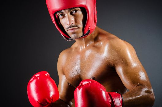 Muscular boxer in studio shooting