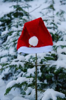 red santa claus hats in a snowy landscape