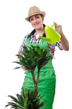 Girl watering plants on white