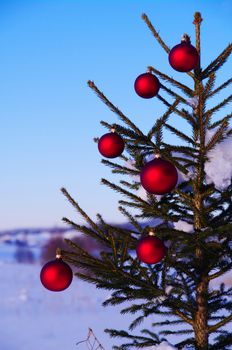 baubles  on a Christmas tree outside in a snowy landscape