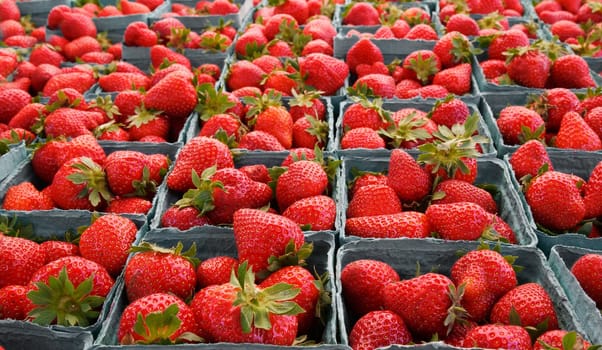 Red strawberries on table at the Farmers Market