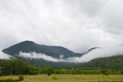 Mountain and cloud in thailand