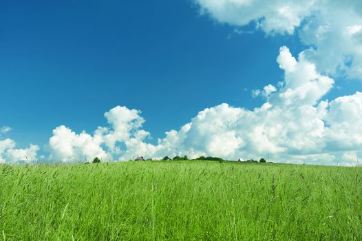 Green landscape with cloudy sky