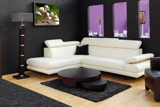 modern furniture and lamp