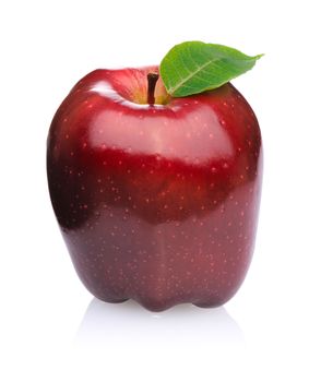 Red Apple isolated on white background