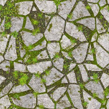 An image of a stone background with plants