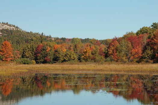 Pond and autumn trees reflecting on calm water, in Ontario, Canada
