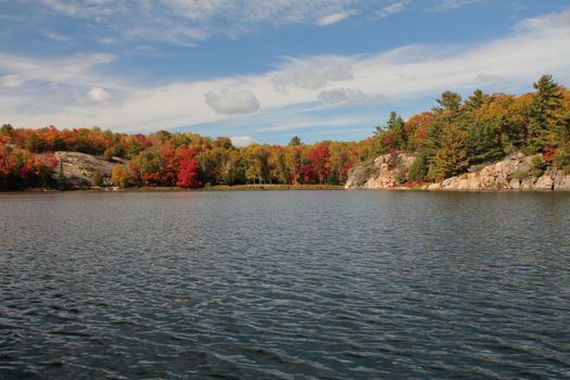 Lake and forest during foliage, in Killarney Provincial Park, ON, Canada
