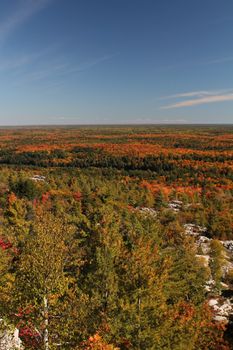 Autumn forest landscape, Ontario, Canada
