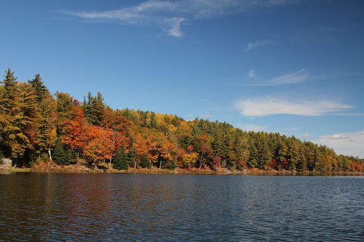 Lake and autumn trees reflecting on calm water, in Ontario, Canada
